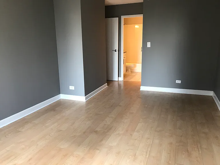 440 N Wabash Ave #3105 — Photo 9