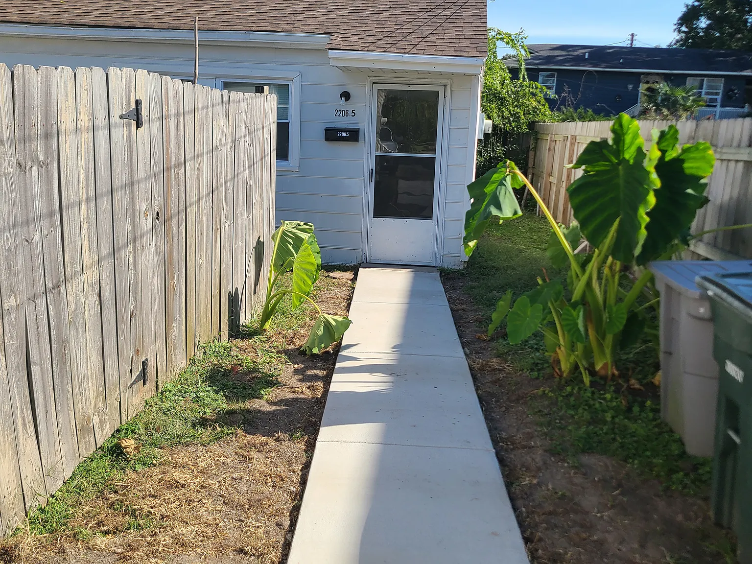 1 bed, 800 sqft, $1,500 — Photo 1