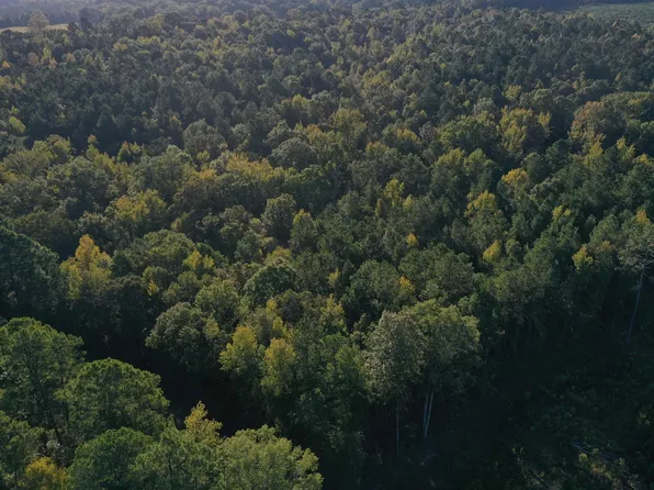 (undisclosed Address), Gurdon, AR 71743