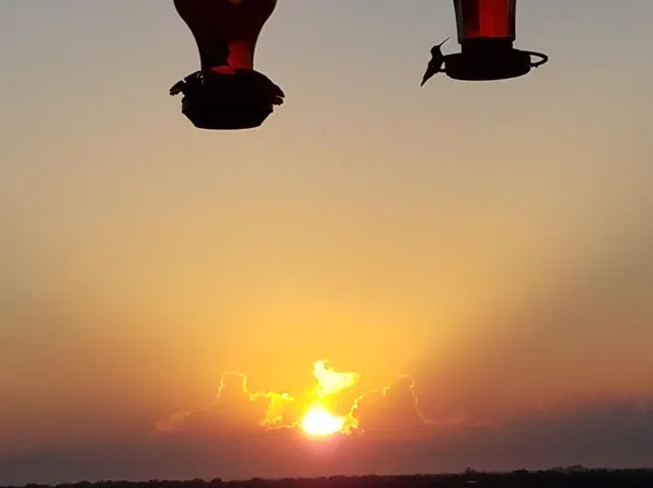 129 Blue Crest Dr, Sandia, TX 78383