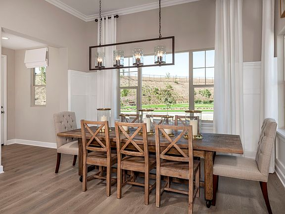 Model Representation