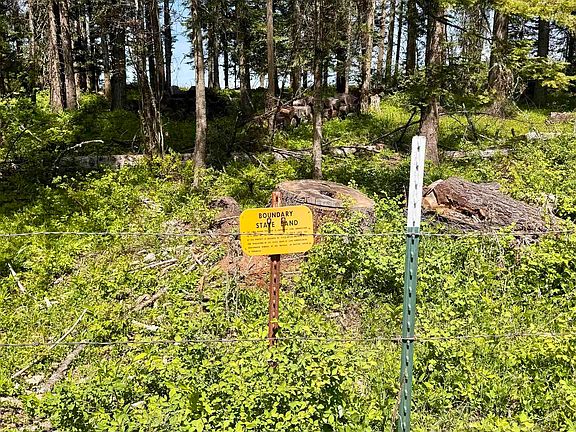 2nd image of Harris Ridge Rd Parcel 4