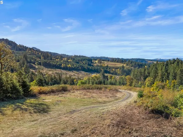 37251 SW Thimbleberry Dr, Gaston, OR 97119