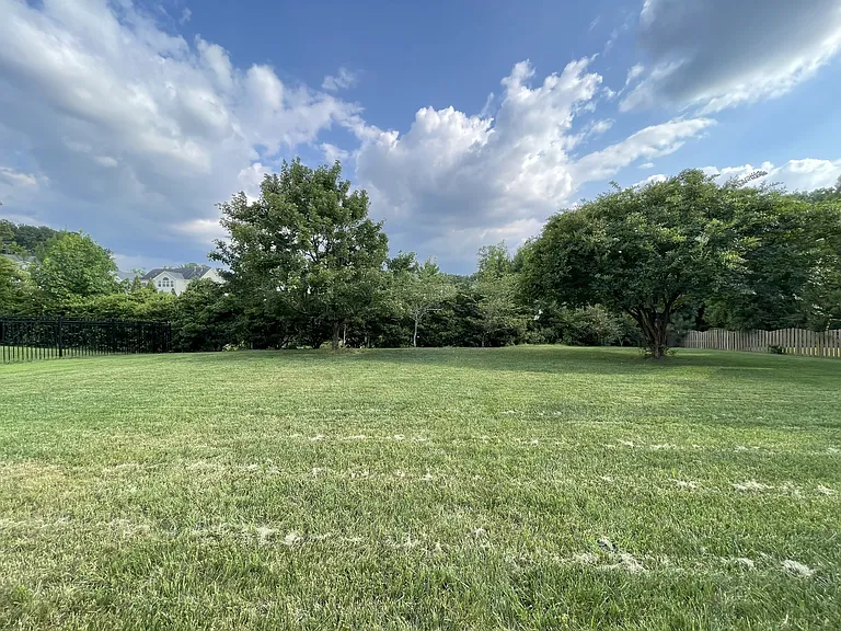 backyard view