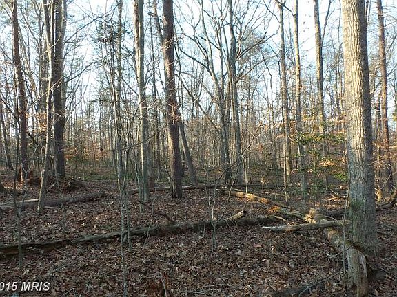 2nd image of 11511 Forest Walk Dr