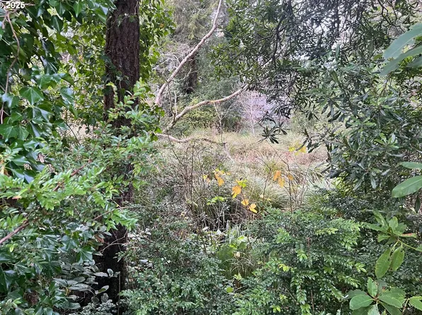 (undisclosed Address), Coos Bay, OR 97420