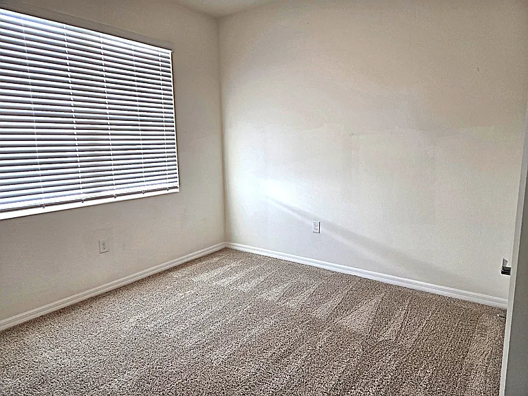 3908 Mossy Limb Ct — Photo 15