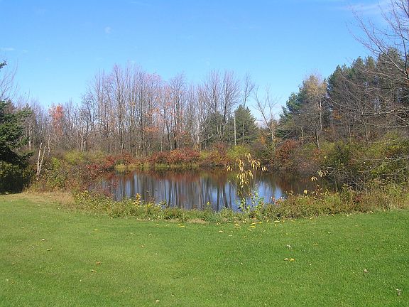 The pond is always changing