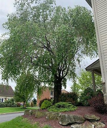 5th image of 511 Deerfield Dr