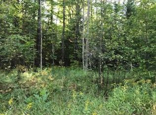 1851 Shiawassee Rd, Brutus, MI 49716