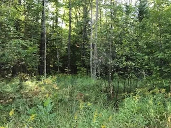 1851 Shiawassee Rd, Brutus, MI 49716