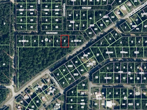 9894 W Mussel Ln, Crystal River, FL 34428