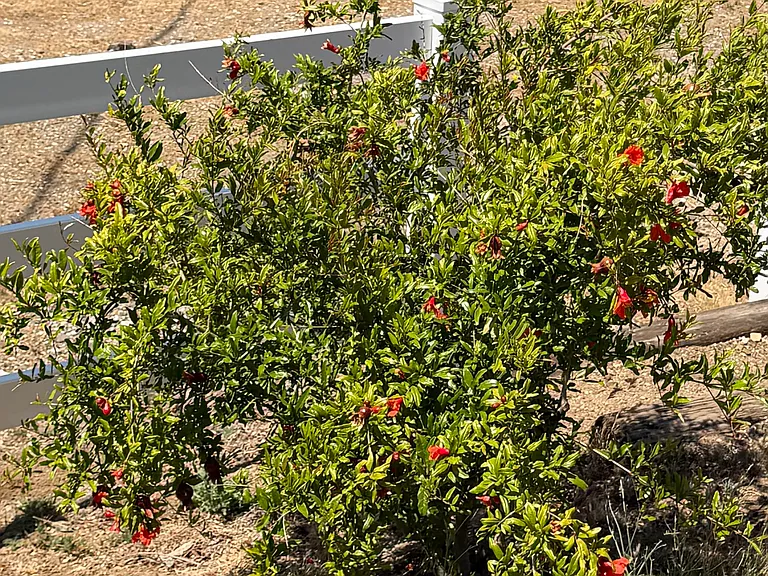 Escondido Canyon Rd — Photo 26