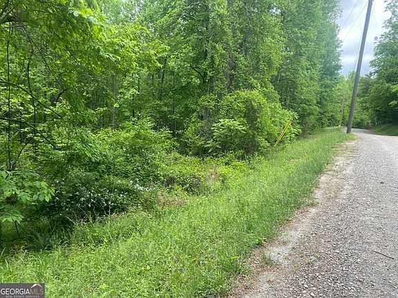 5th image of 0 Luther Palmer Rd