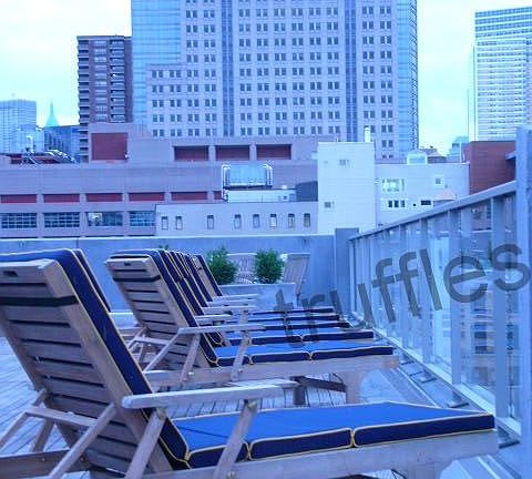 4th image of 34 Desbrosses St APT 917