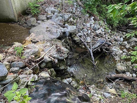 4th image of 525 Shady Creek Dr