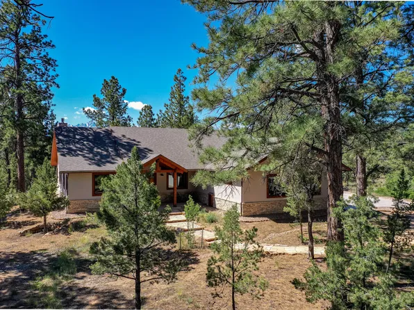 33 Big Canyon, Ridgway, CO 81432