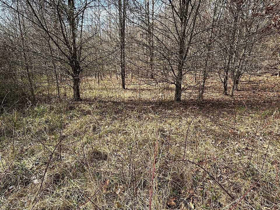 2nd image of Croom Rd
