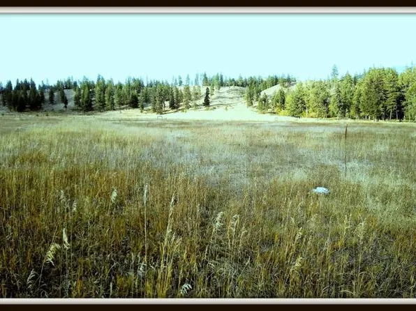 620 Williams Lake Rd, Colville, WA 99114