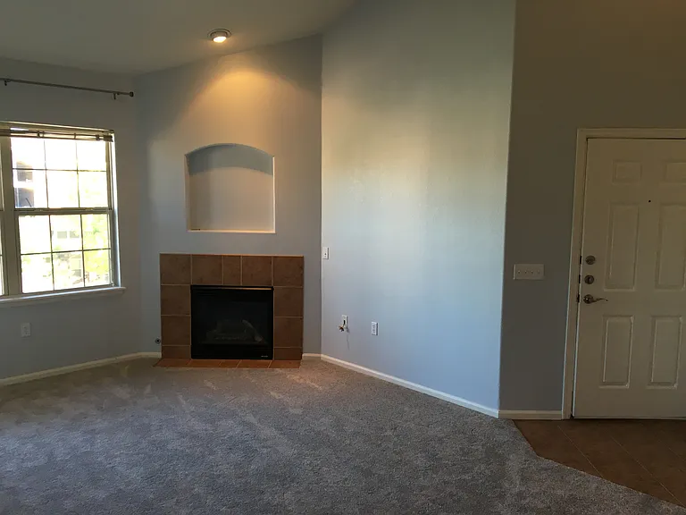 10805 S Twenty Mile Rd #303 — Photo 3