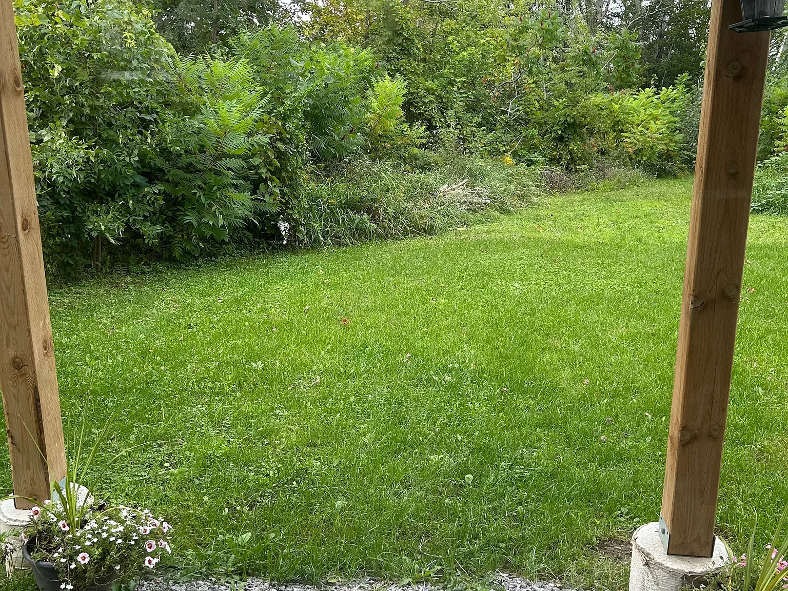 2 bed, $1,800 — Photo 3