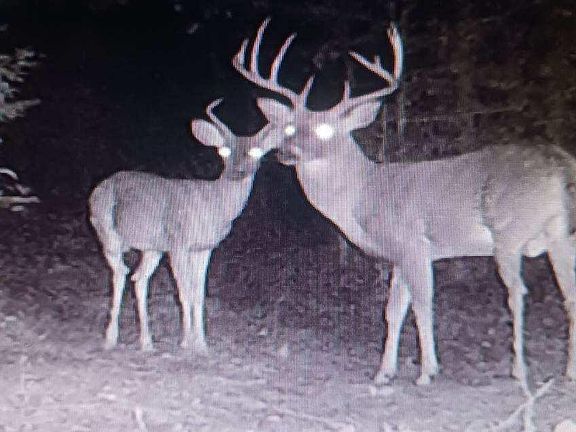 5th image of 870 Cypress Creek Rd