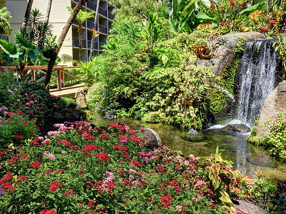 Kaanapali Shores Grounds