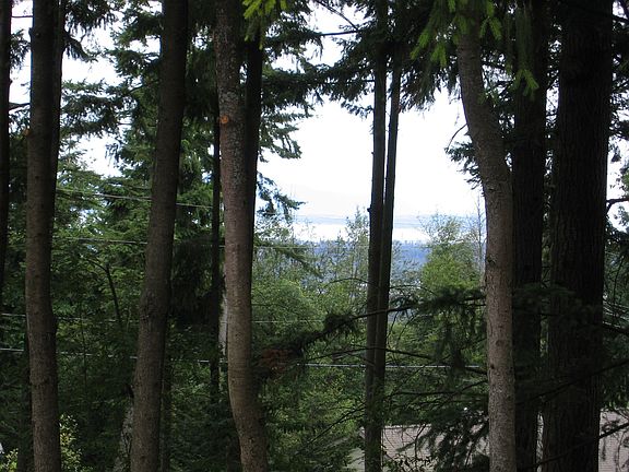 View from deck of bay