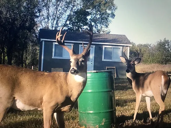 4000 East Rd, Ralston, OK 74650