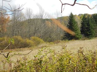 970 Oquaga Lake Rd, Deposit, NY 13754