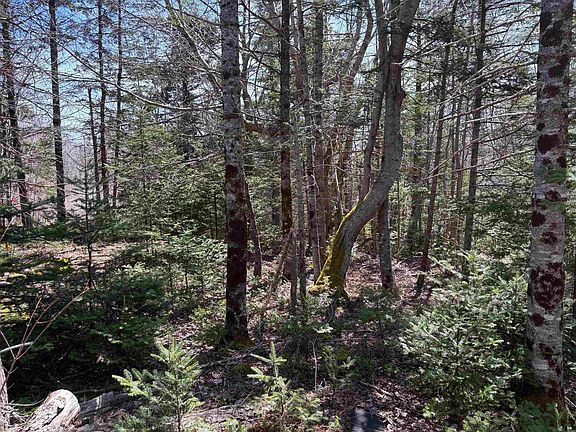 5th image of Beech Hill Rd Lot 2