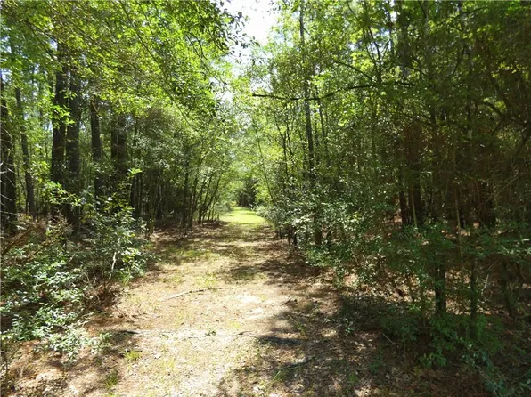 0 Bruhl Rd, Folsom, LA 70437