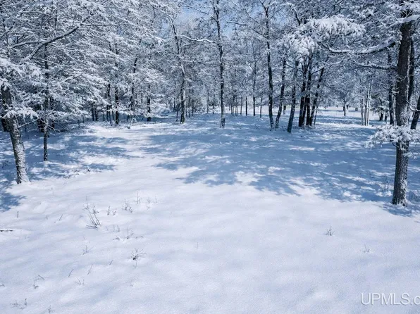 Tbd Tipperary Rd, Gladstone, MI 49837