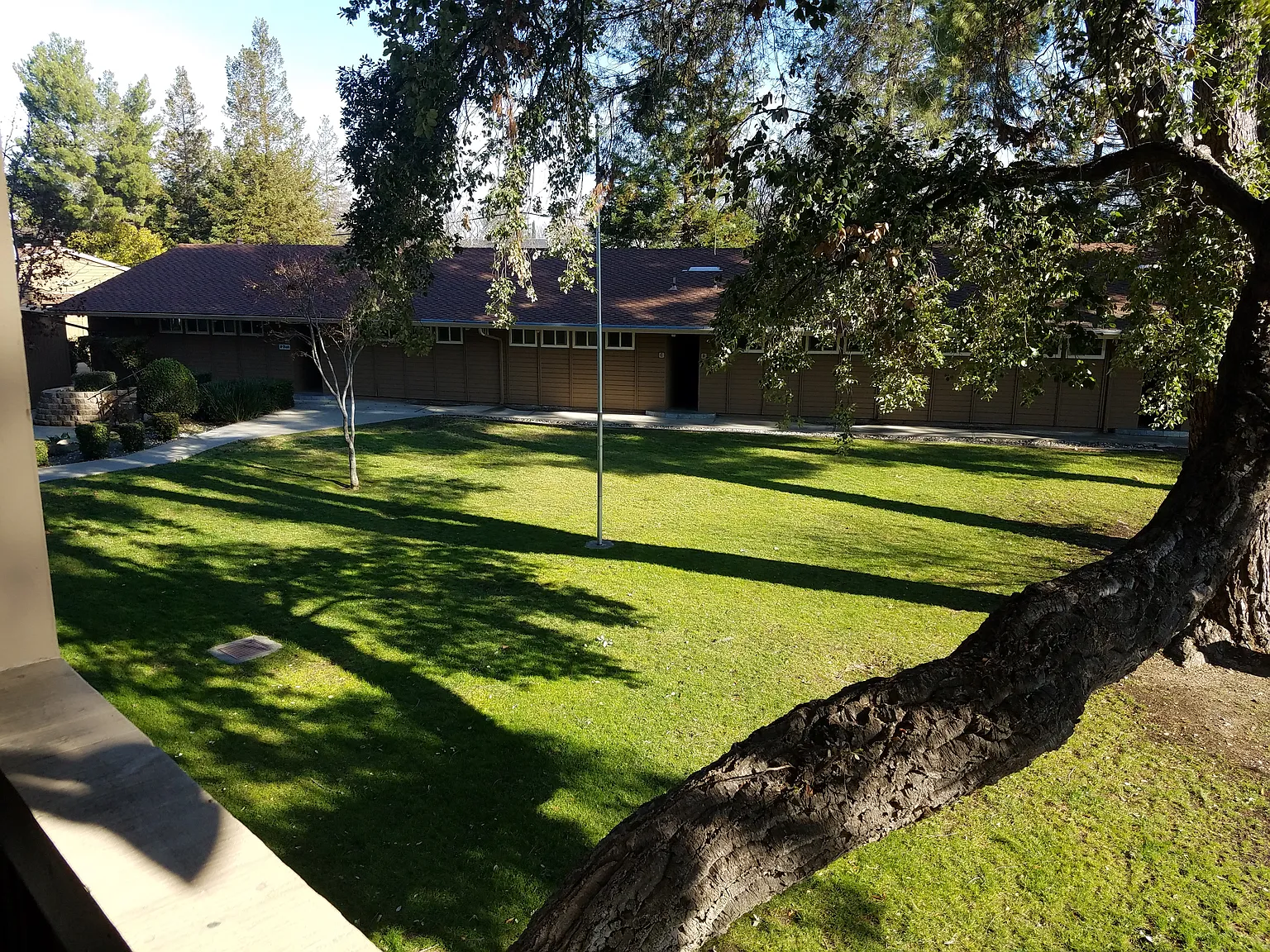 Arbol Verde — Photo 3