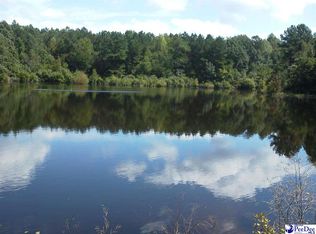 2418 Highway 268, Mount Croghan, SC 29727