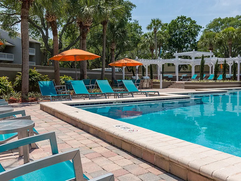 Palms at Beacon Pointe — Photo 15