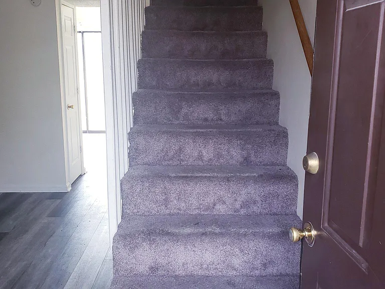 251 Shelby Ave — Photo 12
