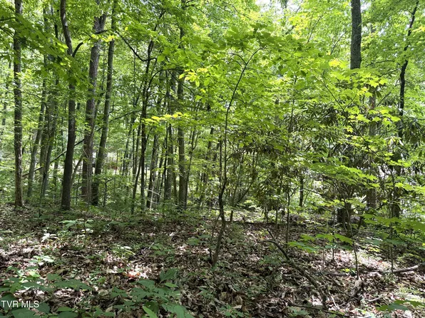 0 Swan Saddle #10, Sevierville, TN 37876