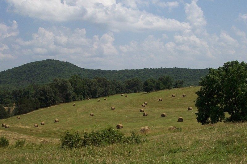 Front pasture with hay