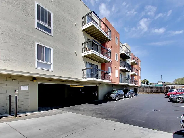 Seventy Harlan — Photo 3