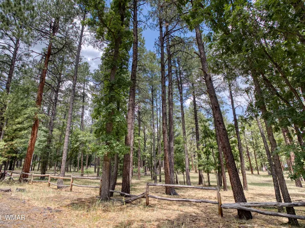 4 Colorados Ln, Alpine, AZ 85920