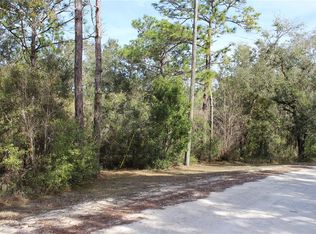 34273 Belt Dr Lot 18, Dade City, FL 33523