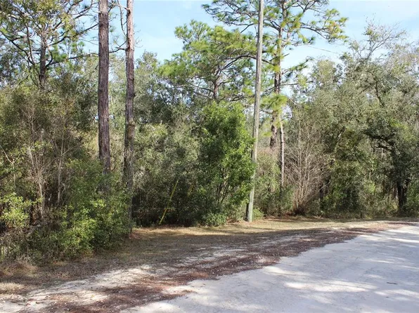 34273 Belt Dr Lot 18, Dade City, FL 33523