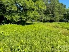 4th image of 5623 Unionville Brief Rd