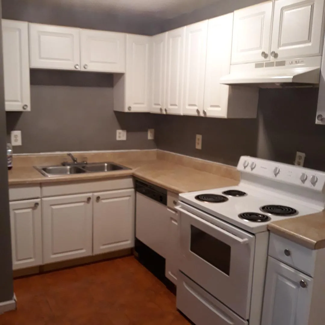 2 bed, 950 sqft, $1,295 — Photo 2
