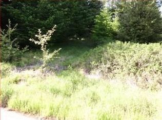 157 Debbie Ln, Whitethorn, CA 95589