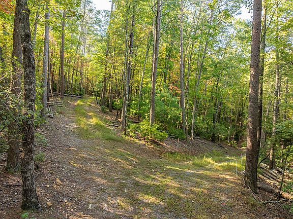 5th image of 1 Turniptown Rd