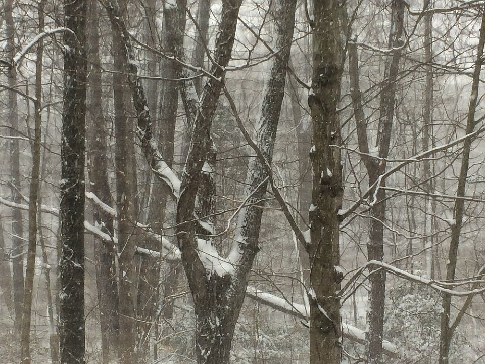 1st image of 9608 Blincoe Ct
