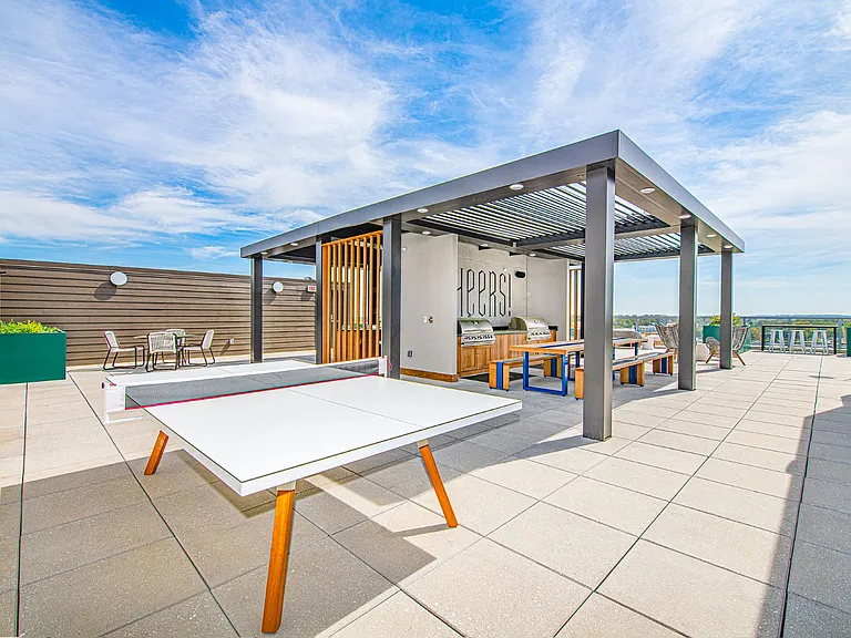 Deca Camperdown Apartments — Photo 16