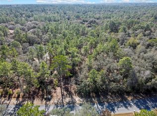 3905 N Longvalley Rd, Hernando, FL 34442